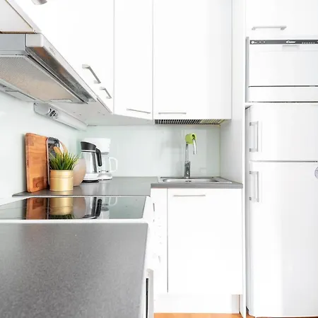Wehost Topeliuksenkatu Appartamento *